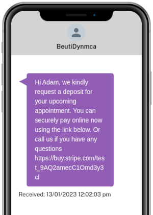 Paymentlinkphoneexample email