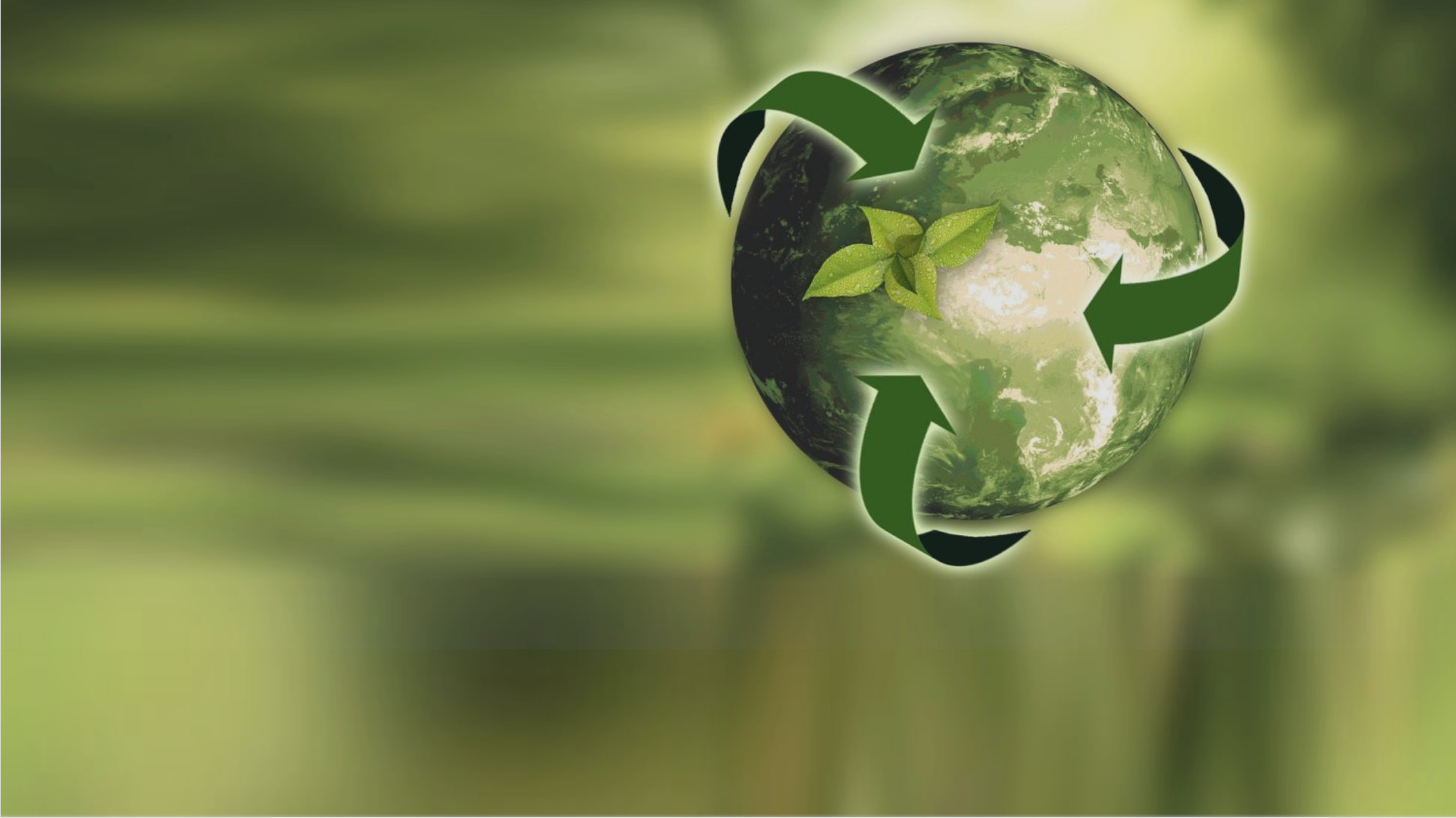 Client Diary and Sustainable Salons